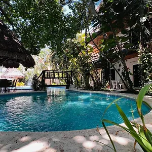 Mayan Art 10 Avenue Hotel Playa del Carmen